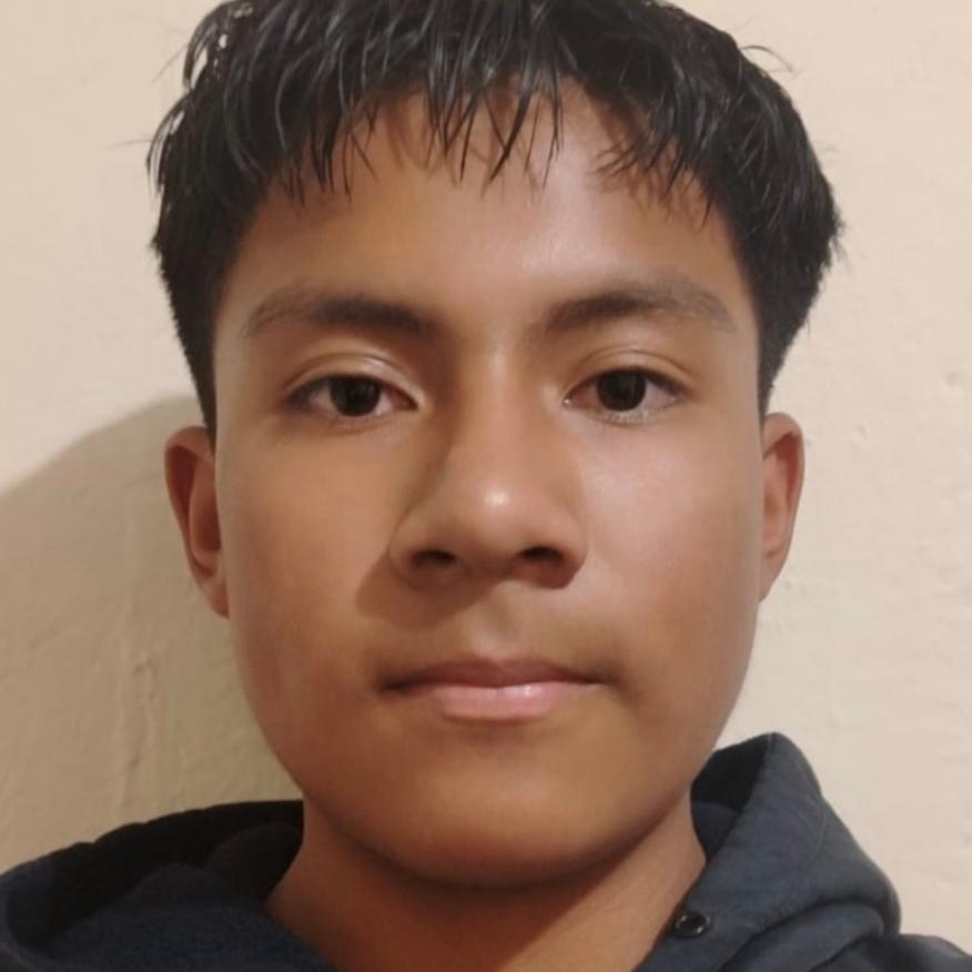 User Image