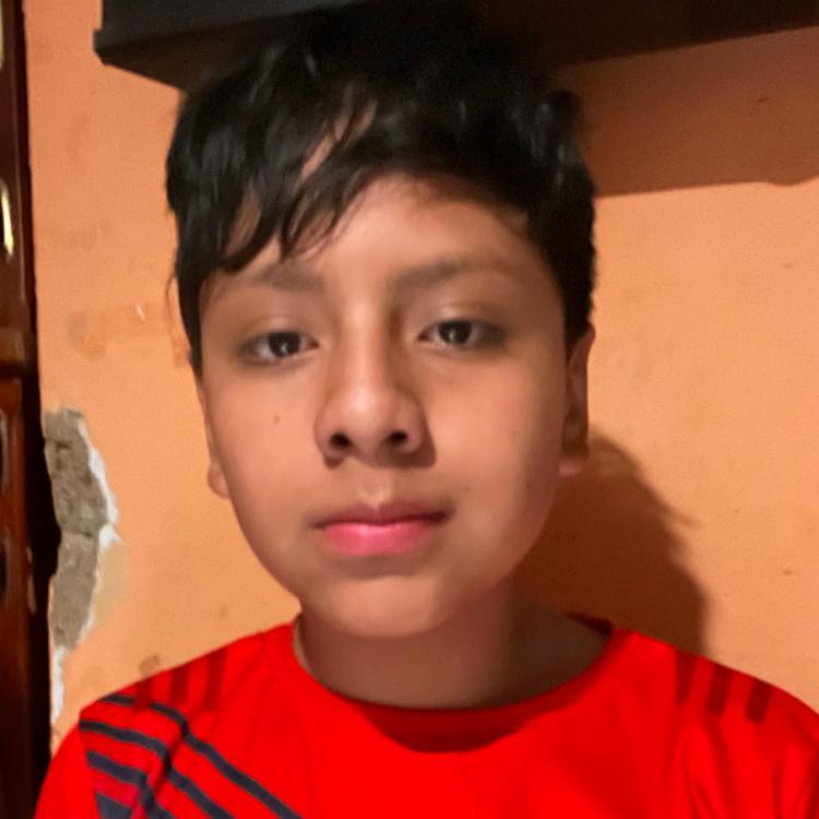 User Image