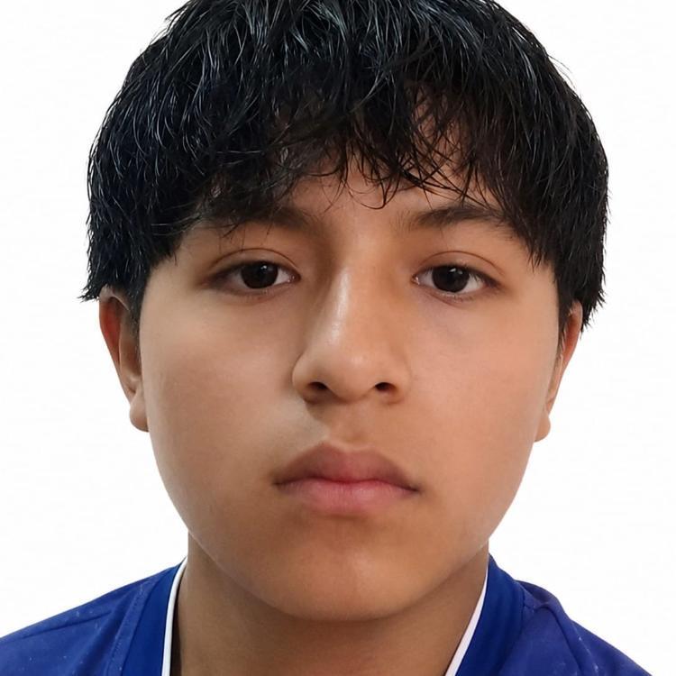 User Image